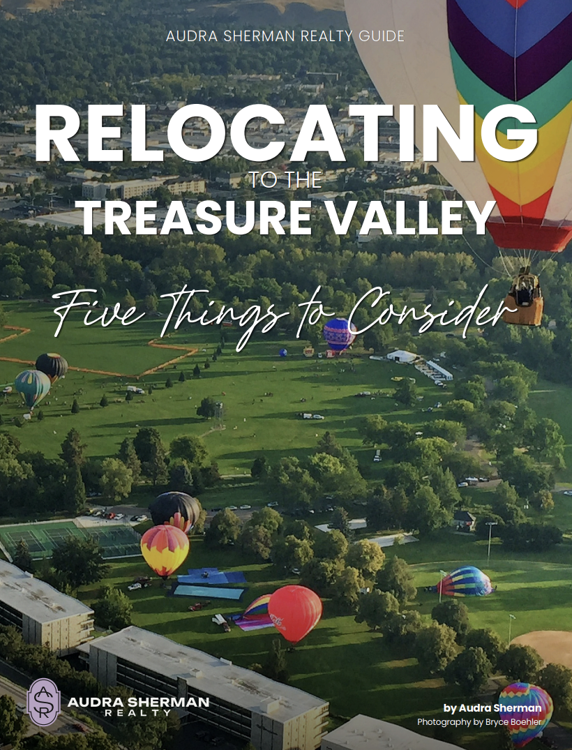 thumbnail of downloadable PDF for relocating to the treasure valley